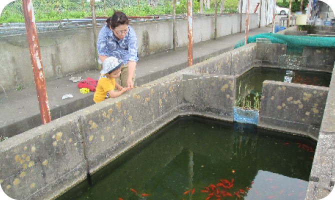 金魚釣り